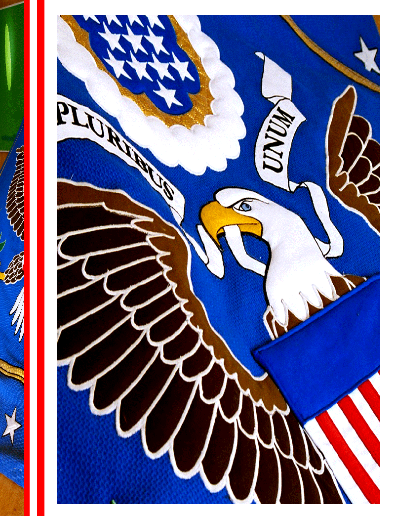 Tapiz nacional del gobierno de los Estados Unidos de Norteamérica (EE.UU). Confección del fondo en tejido de terciopelo